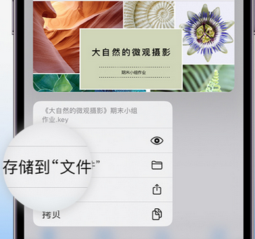 甘德apple维修中心分享iPhone文件应用中存储和找到下载文件