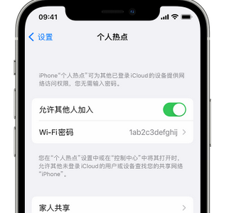 甘德apple服务站点分享iPhone上个人热点丢失了怎么办 