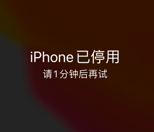 甘德苹果手机维修分享:iPhone 显示“不可用”或“已停用”怎么办？还能保留数据吗？ 