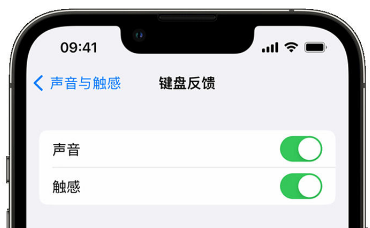 甘德苹果手机维修分享iPhone 14触感键盘使用方法 