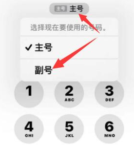 甘德苹果14维修店分享iPhone 14 Pro Max使用副卡打电话的方法 