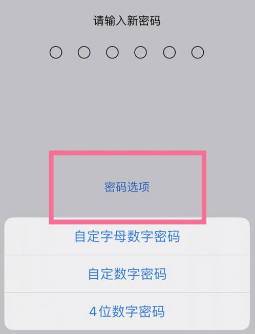 甘德苹果14维修分享iPhone 14plus设置密码的方法 