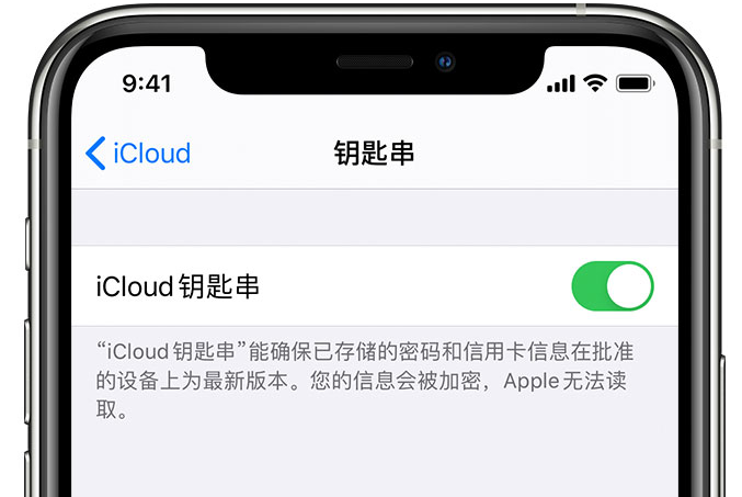 甘德苹果手机维修分享在 iPhone 上开启 iCloud 钥匙串之后会储存哪些信息 